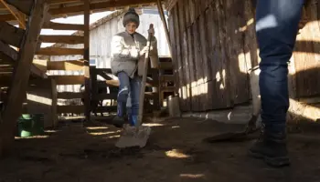 preparing room for basement renovations