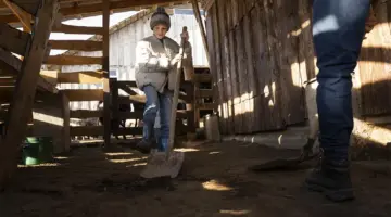 Basement Developments